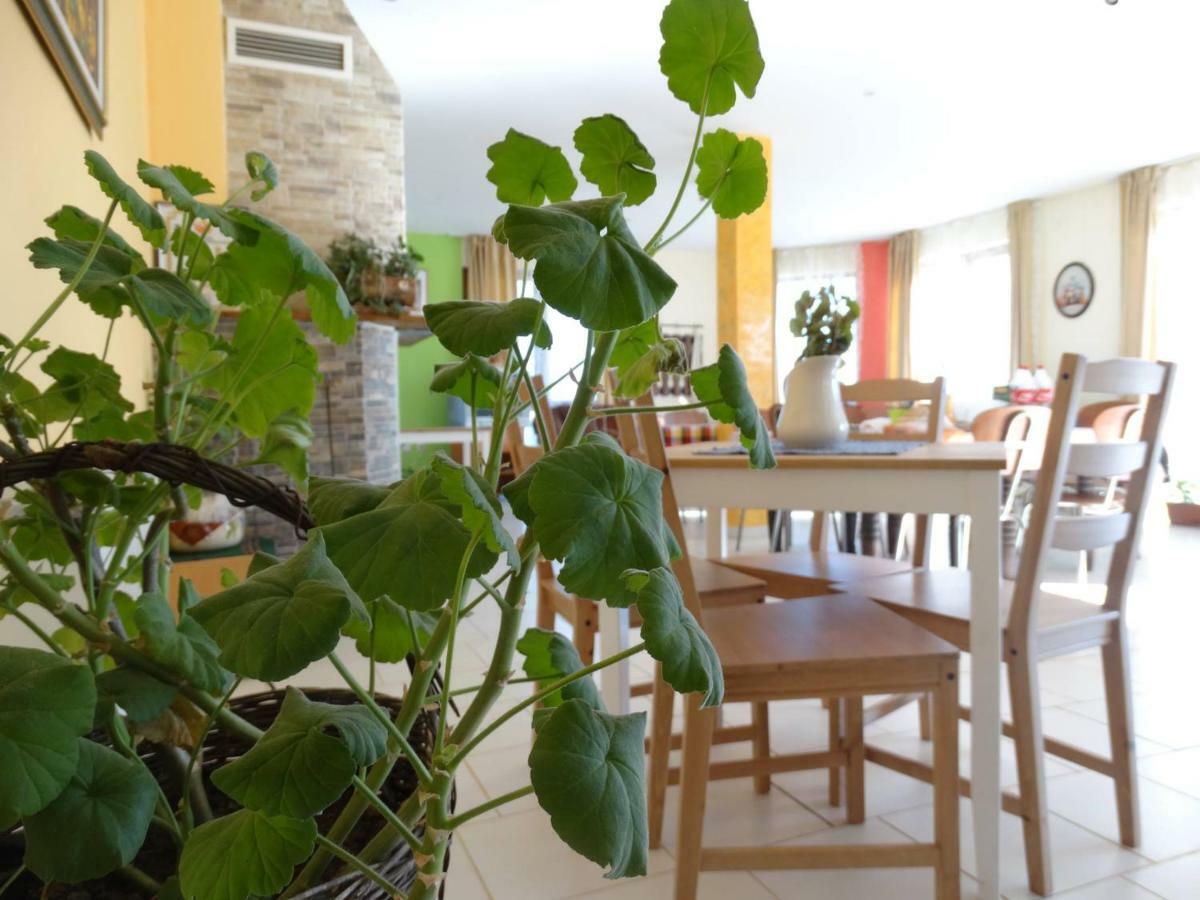 Guest House Misha Petrevene 外观 照片